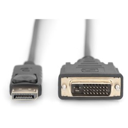 Buy DIGITUS DisplayPort Cable - DPort to DVI-D - DPort - Black, 2 m, DP 1.1a in Cyprus, Nicosia, Limassol, Larnaka, Pafos