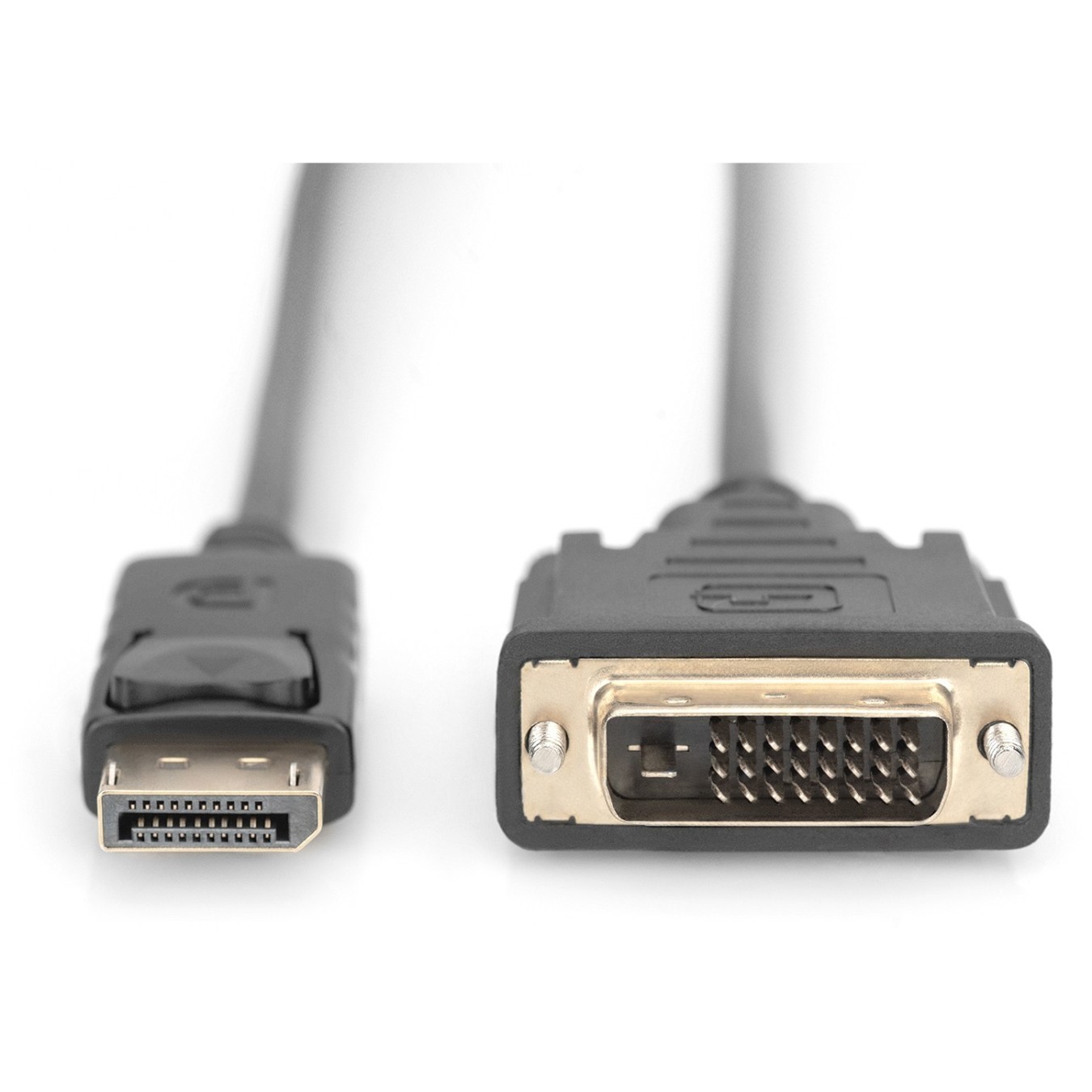 DIGITUS DisplayPort Cable - DPort to DVI-D - DPort - Black, 2 m, DP 1.1a — Buy in Cyprus with Fast Delivery