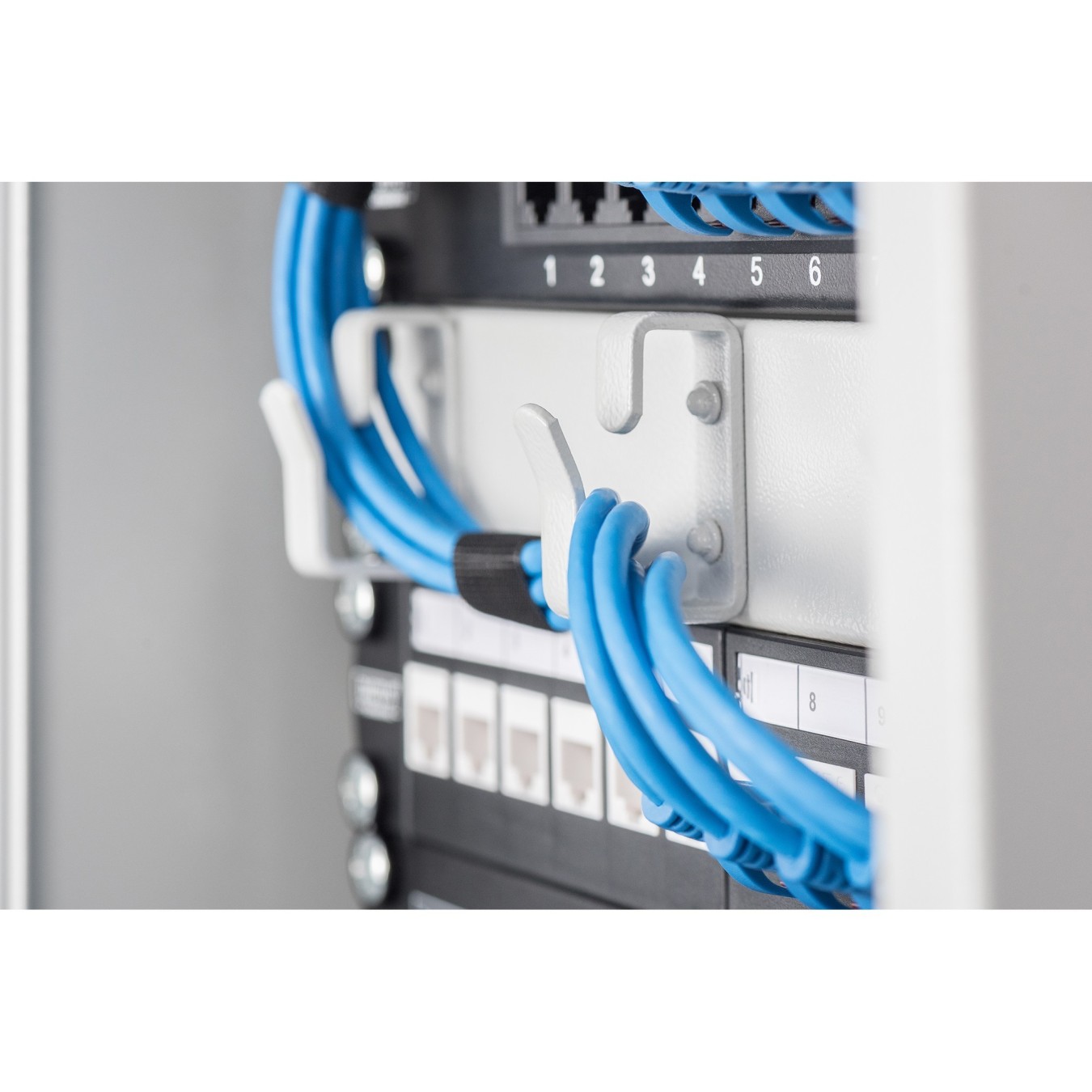 DIGITUS Rangierpanel - 1U, 10' depth, 3x rings, grey — Buy in Cyprus with Fast Delivery