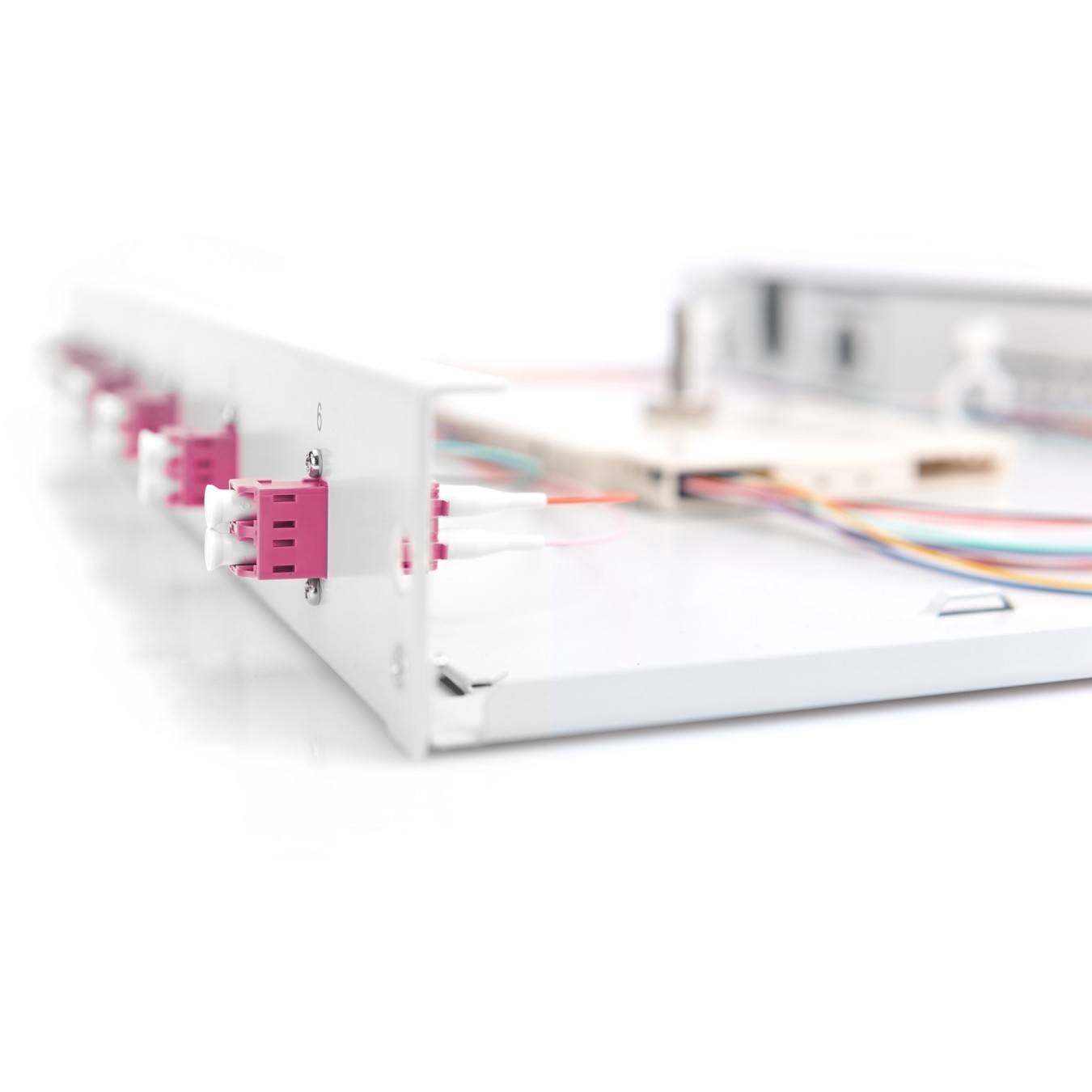 DIGITUS Fiber Optic Splice Box - 1U - Grey, 6x LC, OM4 — Buy in Cyprus with Fast Delivery