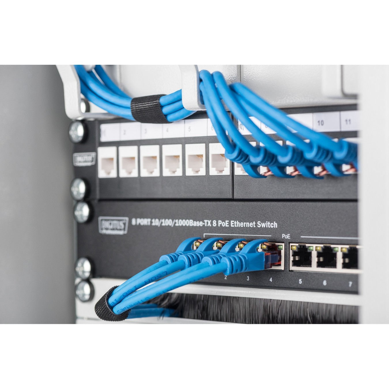 DIGITUS Patchpanel 1HE 12-Port Modular - Black — Buy in Cyprus with Fast Delivery