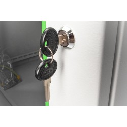 Buy Digitus Spare Key Varioflex-N - Varioflex-N Unique - Spare key for cabinet l... in Cyprus, Nicosia, Limassol, Larnaka, Pafos