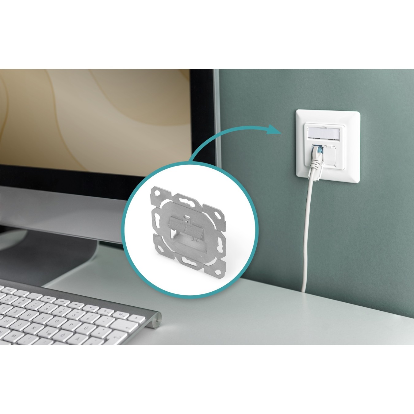 DIGITUS Empty Junction Box - Without Central Plate, Without Frame, Designable — Buy in Cyprus with Fast Delivery