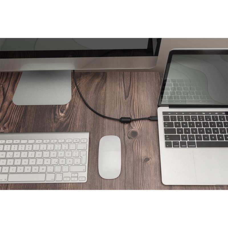 Buy Digitus USB-C to DisplayPort Adapter Cable - DP Alt-Mode, 2.0 m, Silver in Cyprus, Nicosia, Limassol, Larnaka, Pafos