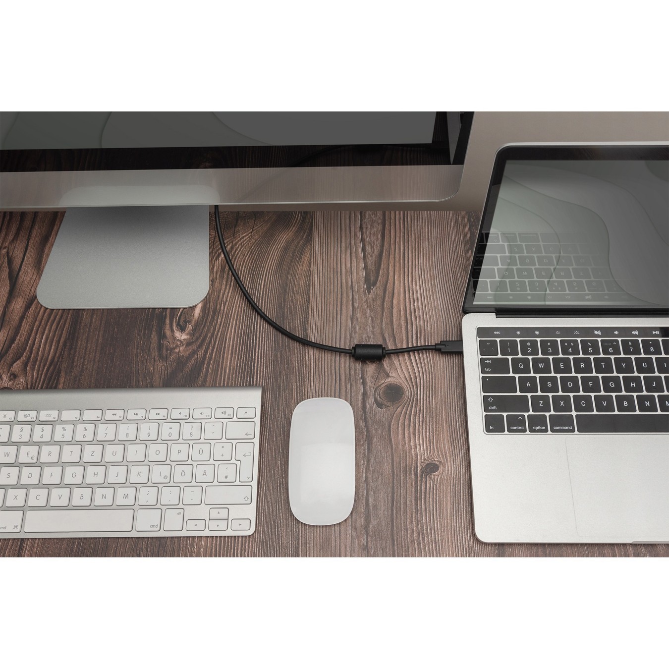 Digitus USB-C to DisplayPort Adapter Cable - DP Alt-Mode, 2.0 m, Silver — Buy in Cyprus with Fast Delivery