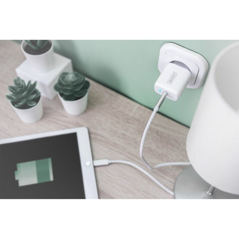 Buy Charger USB-C DIGITUS 20W PD3.0 White in Cyprus, Nicosia, Limassol, Larnaka, Pafos