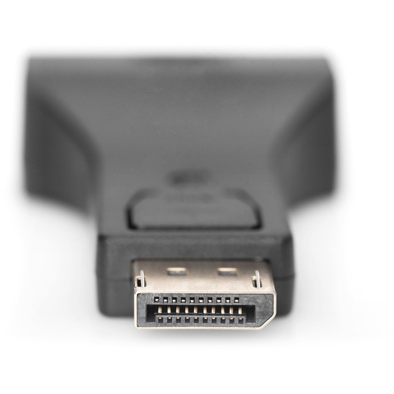 DIGITUS DisplayPort Adapter - DPort - DP to DVI-I adapter (polybag packaging) — Buy in Cyprus with Fast Delivery