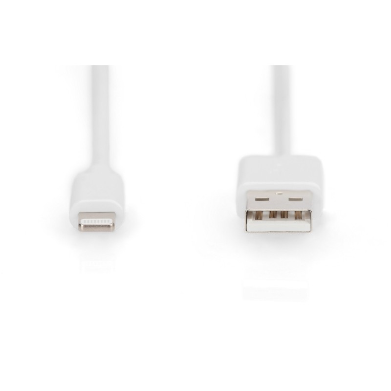 Buy DIGITUS Apple Lightning to USB-A Cable - White, 1 m, Straight - MFI-certified in Cyprus, Nicosia, Limassol, Larnaka, Pafos
