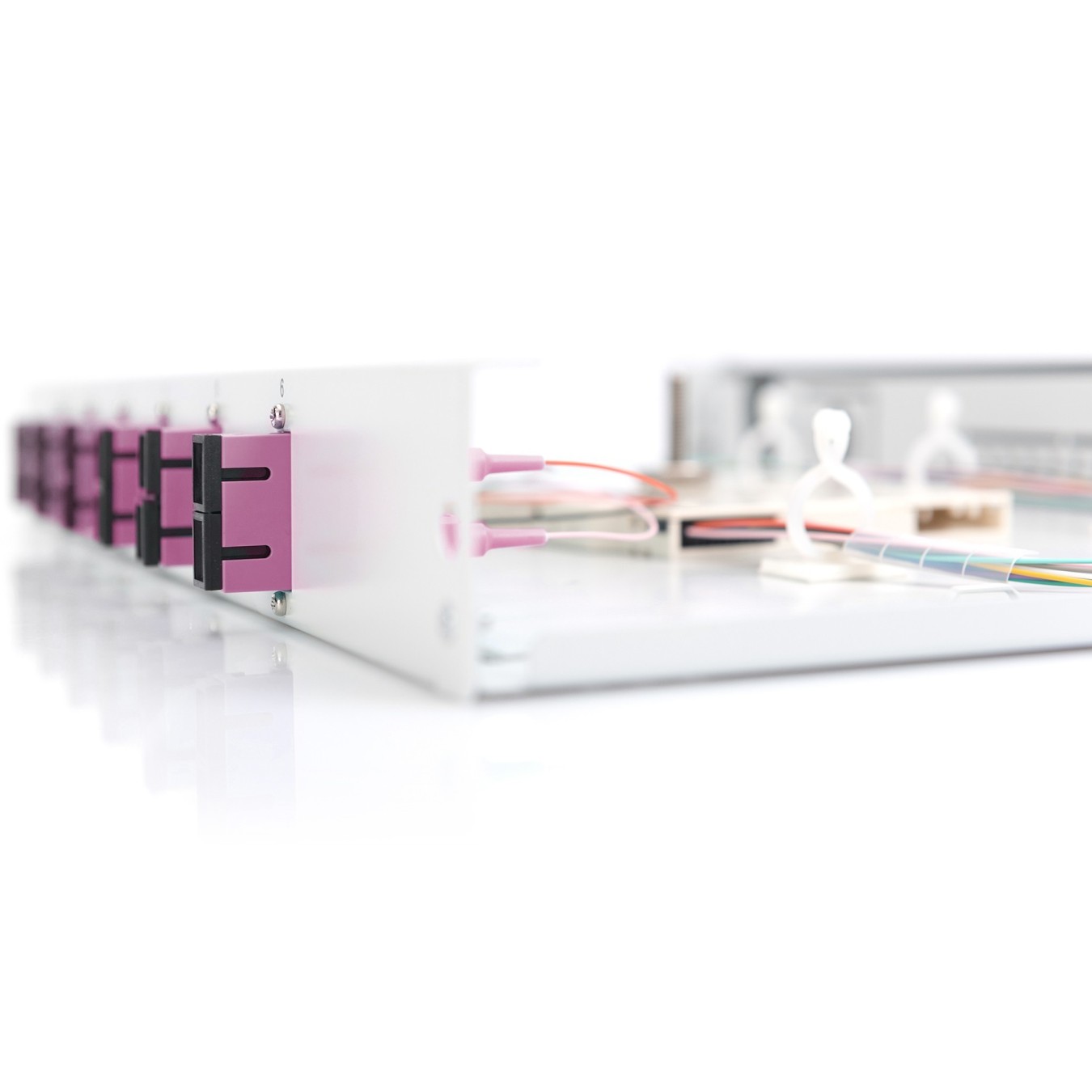 DIGITUS LWL Splice Box 1U - Grey - 6x SC OM4 pre-fitted — Buy in Cyprus with Fast Delivery