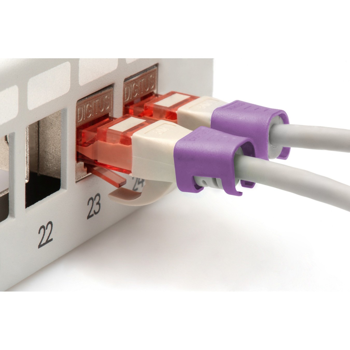Digitus Color Coding Clips for Patch Cables - Violet - 100 pcs — Buy in Cyprus with Fast Delivery
