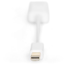 Buy DIGITUS DisplayPortKabel miniDPort - White, 0.15 m - Mini DisplayPort to HDMI in Cyprus, Nicosia, Limassol, Larnaka, Pafos