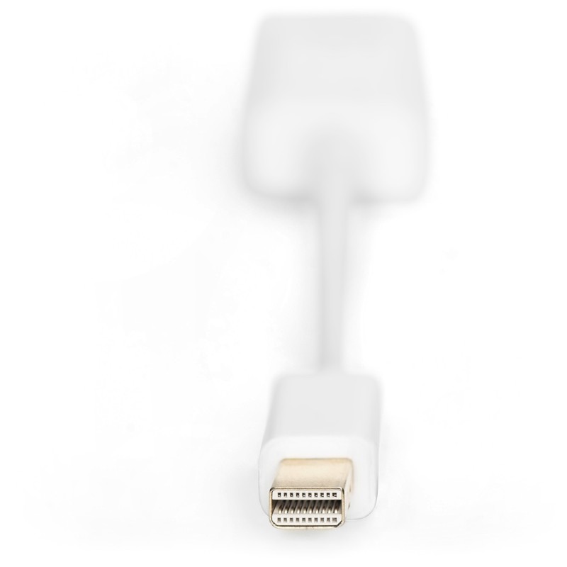 Buy DIGITUS DisplayPortKabel miniDPort - White, 0.15 m - Mini DisplayPort to HDMI in Cyprus, Nicosia, Limassol, Larnaka, Pafos