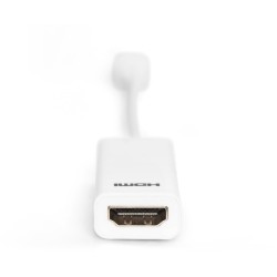 Buy DIGITUS DisplayPortKabel miniDPort - White, 0.15 m - Mini DisplayPort to HDMI in Cyprus, Nicosia, Limassol, Larnaka, Pafos