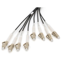 Buy DIGITUS LWL Patch Cable LC to LC, OM4, 50 m, UPC, 8 fibers, Pre-terminated, ... in Cyprus, Nicosia, Limassol, Larnaka, Pafos