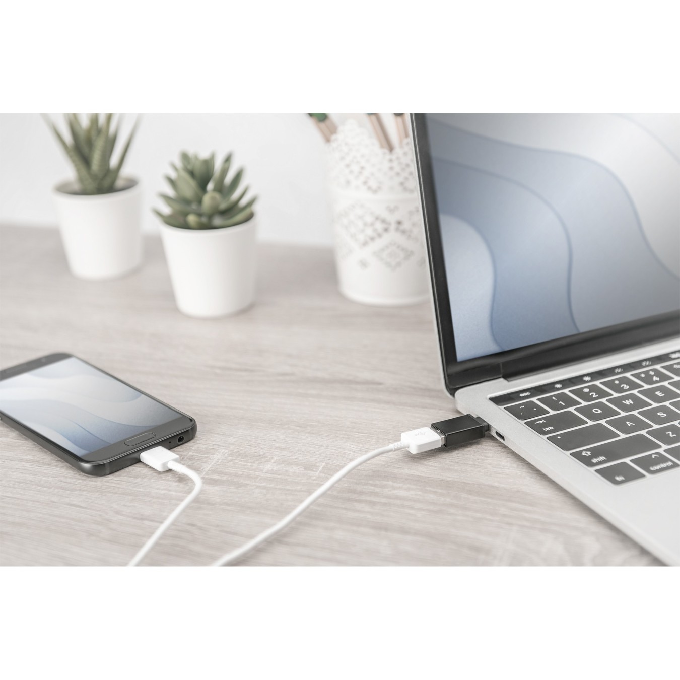 DIGITUS USB Type-C Adapter - USB-C to USB-A Female - Black — Buy in Cyprus with Fast Delivery