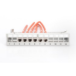 Buy DIGITUS Patchpanel 1HE 12-Port Modular Desktop gray - 1U, 12-Port Patch Panel in Cyprus, Nicosia, Limassol, Larnaka, Pafos