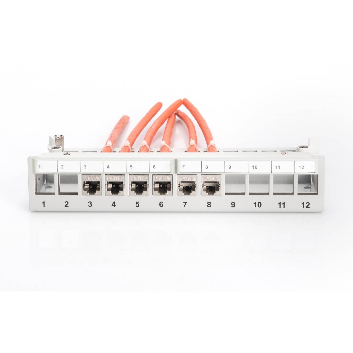 DIGITUS Patchpanel 1HE 12-Port Modular Desktop gray - 1U, 12-Port Patch Panel — Buy in Cyprus with Fast Delivery