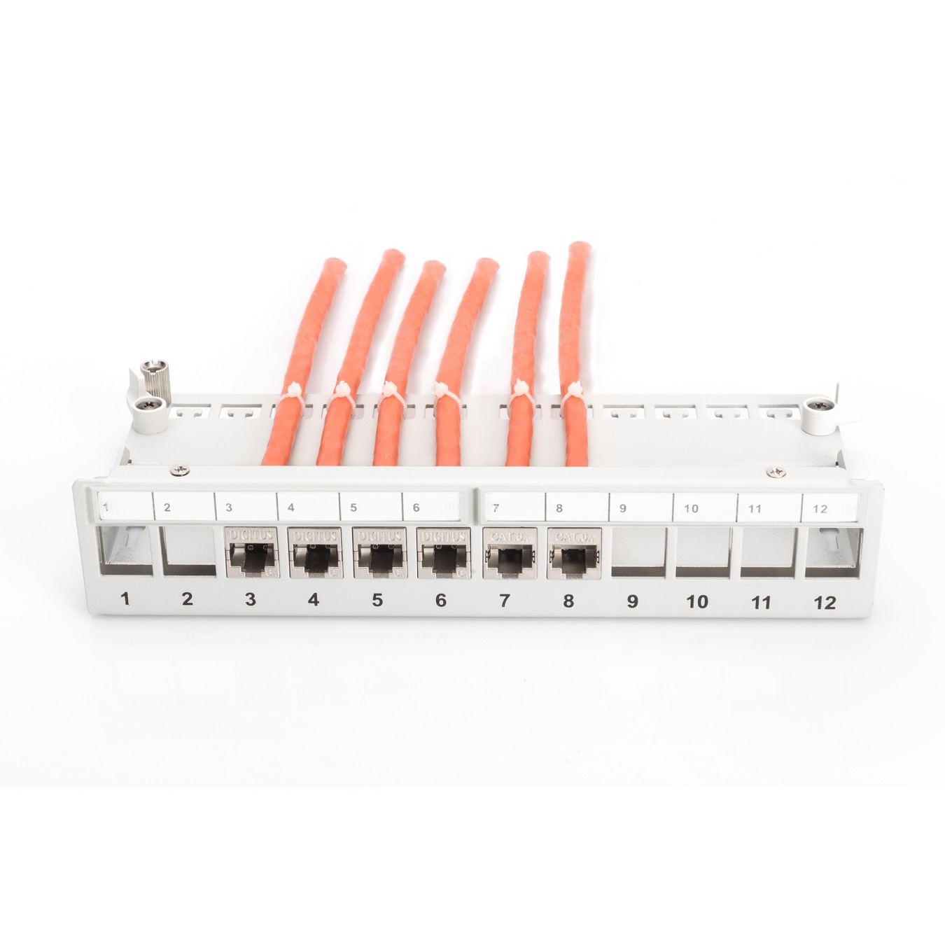 DIGITUS Patchpanel 1HE 12-Port Modular Desktop gray - 1U, 12-Port Patch Panel — Buy in Cyprus with Fast Delivery