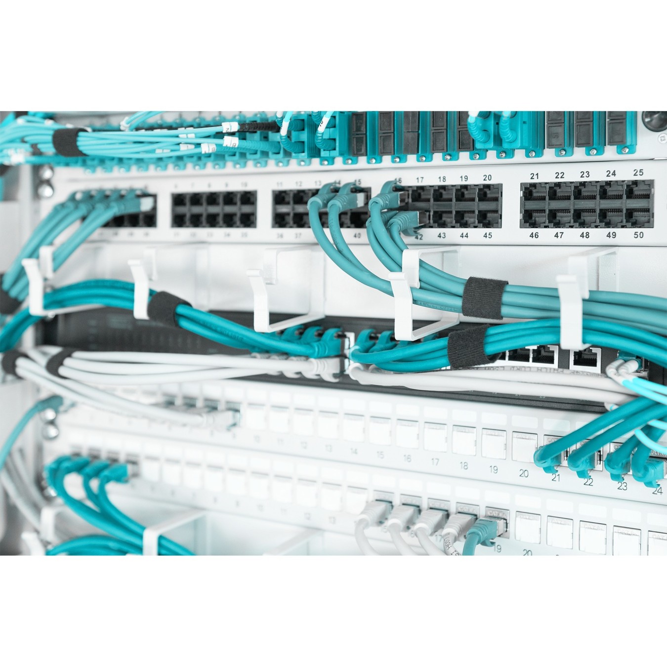 DIGITUS Patch Panel 1U 5x Rings 40x60mm grey — Buy in Cyprus with Fast Delivery