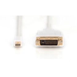 Buy DisplayPort to DVI-D Cable (Mini DP to DVI-D) - 2 m - White, Nickel contacts... in Cyprus, Nicosia, Limassol, Larnaka, Pafos