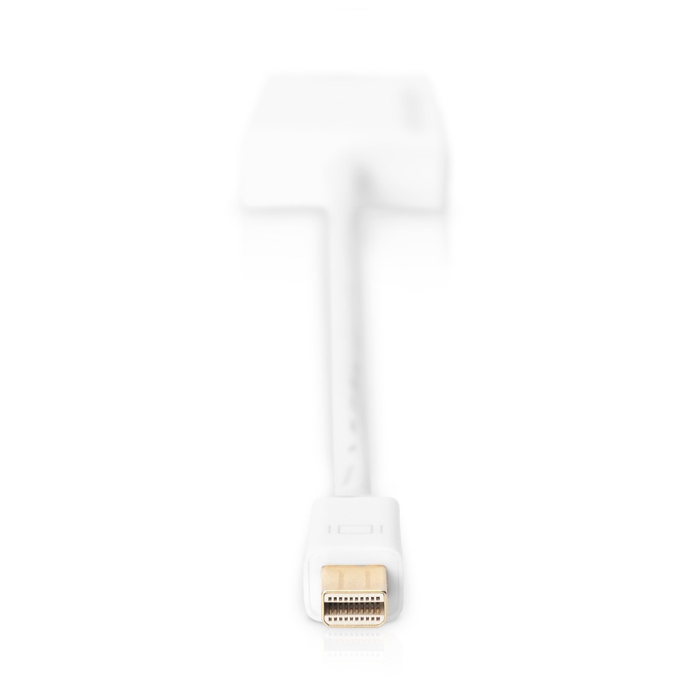 DIGITUS Active Mini DisplayPort to HDMI Adapter - 0.2 m - White — Buy in Cyprus with Fast Delivery
