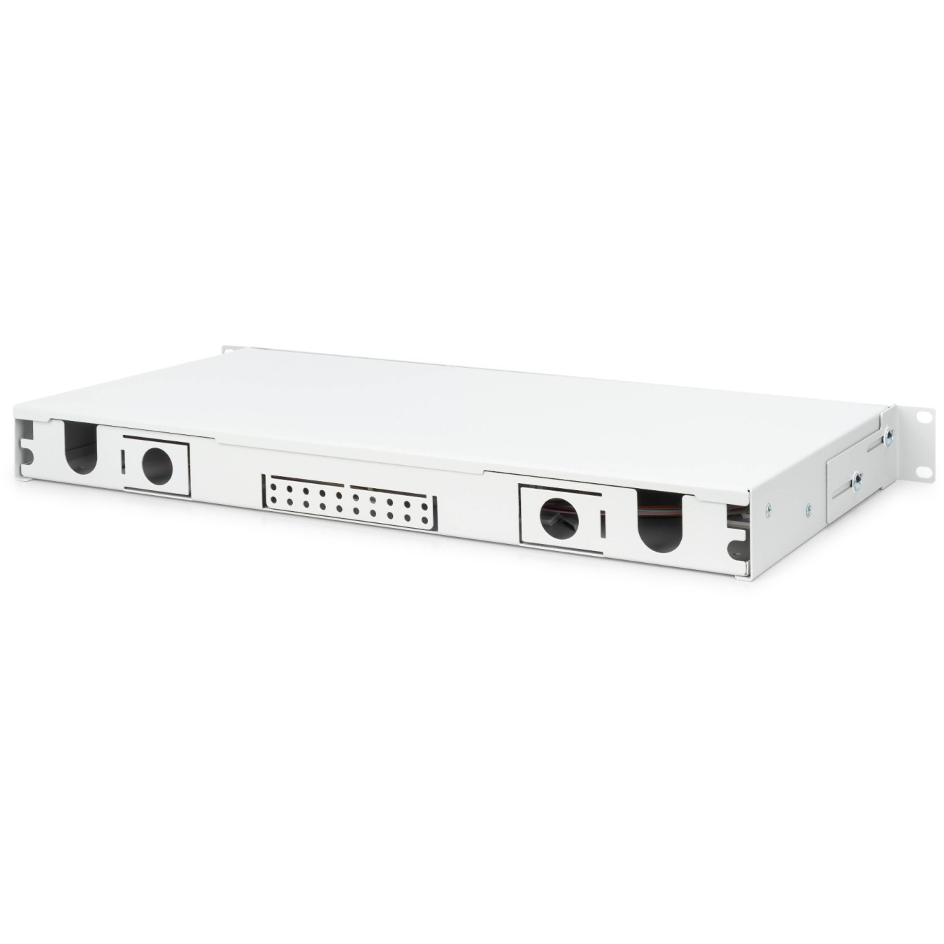 Digitus Fiber Optic Splice Box 1U 12x SC OS2 Grey - Box - (Grey, Steel, OS2) — Buy in Cyprus with Fast Delivery