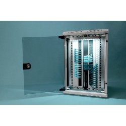 Buy DIGITUS 254 mm (10\") and 482.6 mm (19\") Kombi Wall-Mount Cabinet - 10U, Gr... in Cyprus, Nicosia, Limassol, Larnaka, Pafos