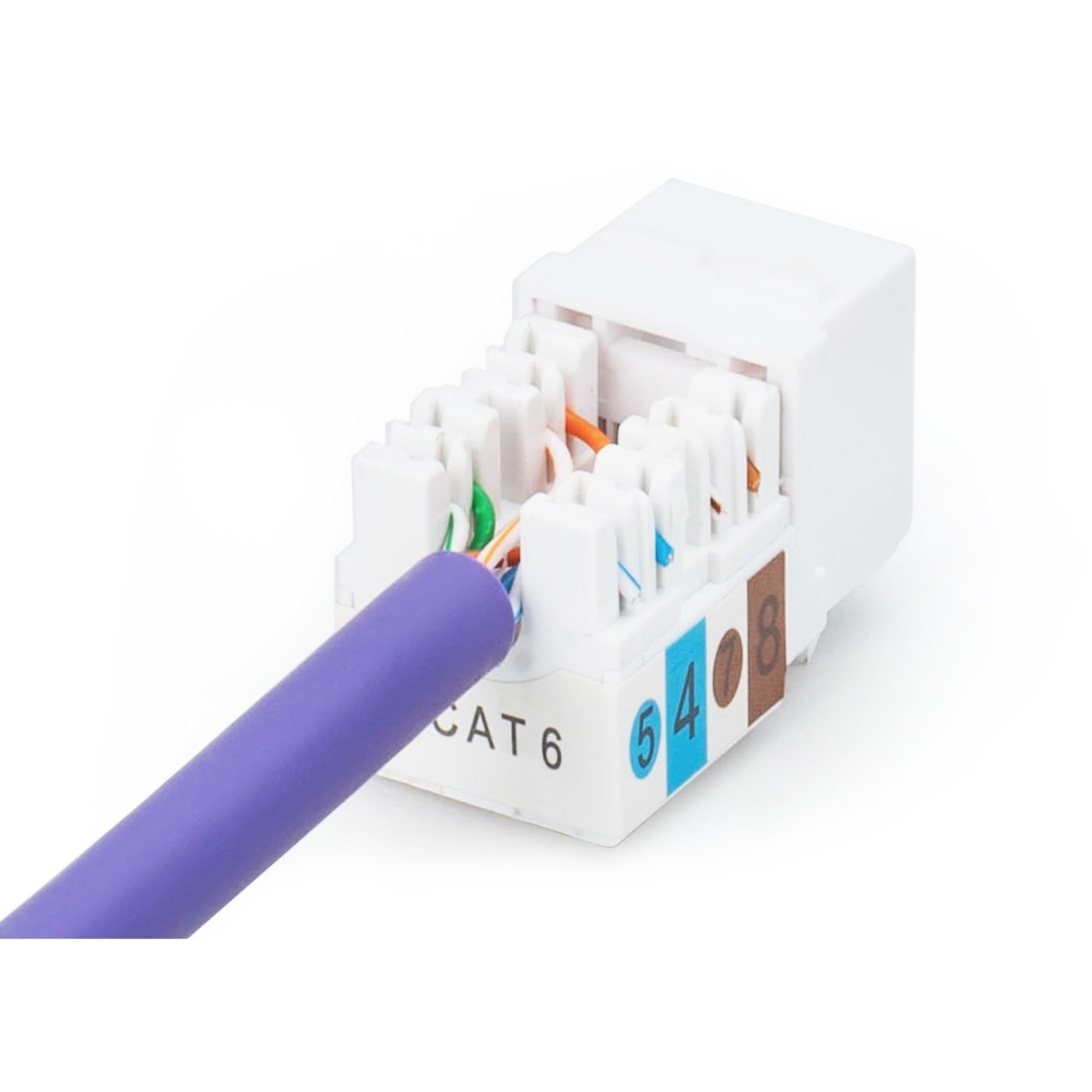 Jack DIGITUS Cat6 RJ45 to LSA Cable - Cat6, Copper, 1 m — Buy in Cyprus with Fast Delivery