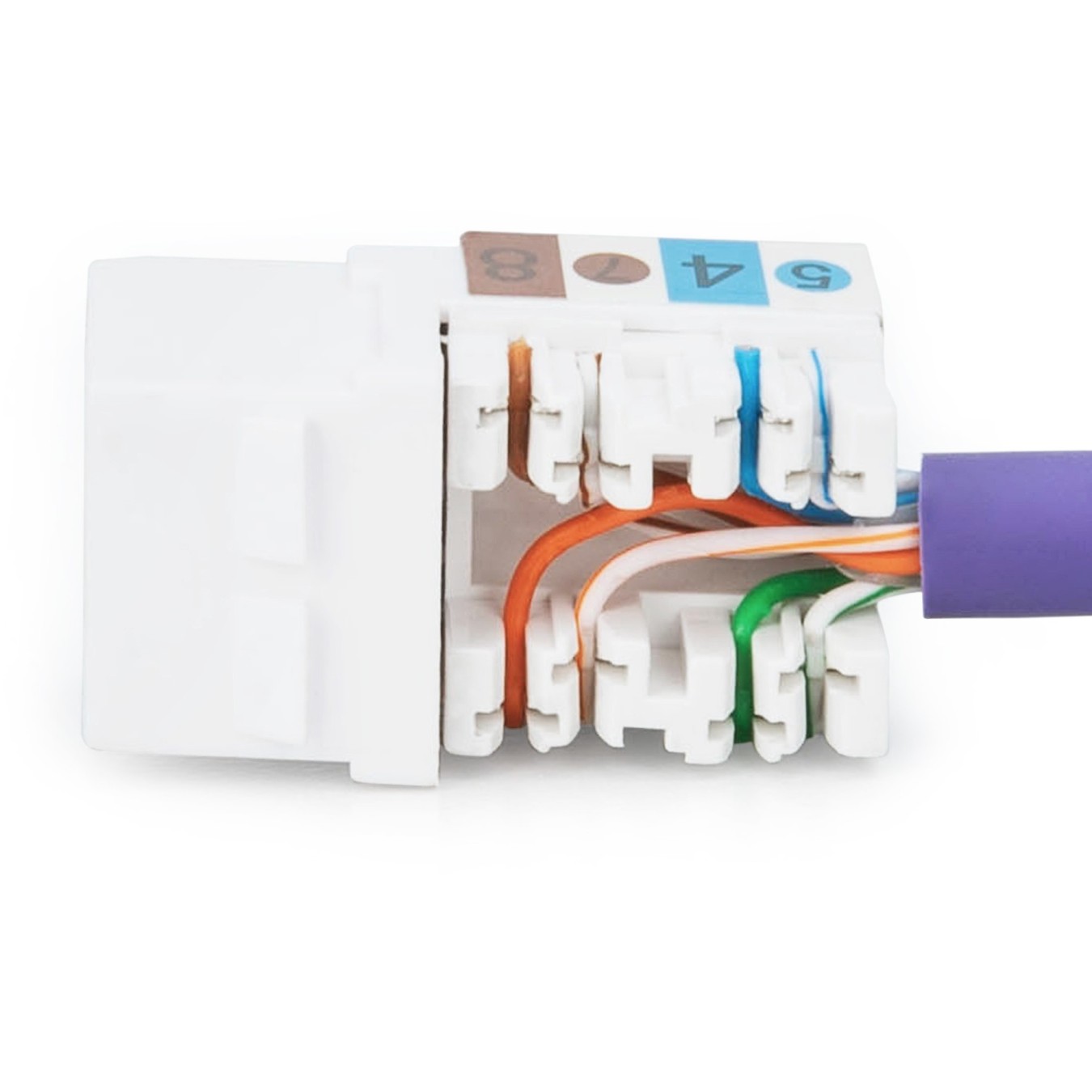 Jack DIGITUS Cat6 RJ45 to LSA Cable - Cat6, Copper, 1 m — Buy in Cyprus with Fast Delivery