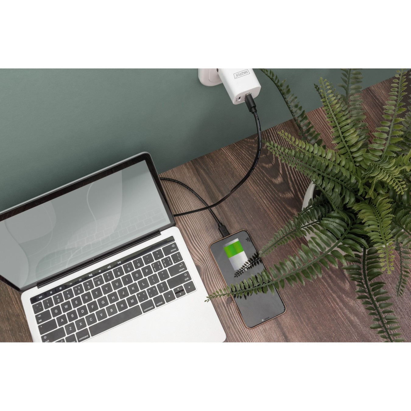 DIGITUS USB 2.0 Cable Type-C to Type-A - Stainless Steel Braided - 3.0 m - Black — Buy in Cyprus with Fast Delivery