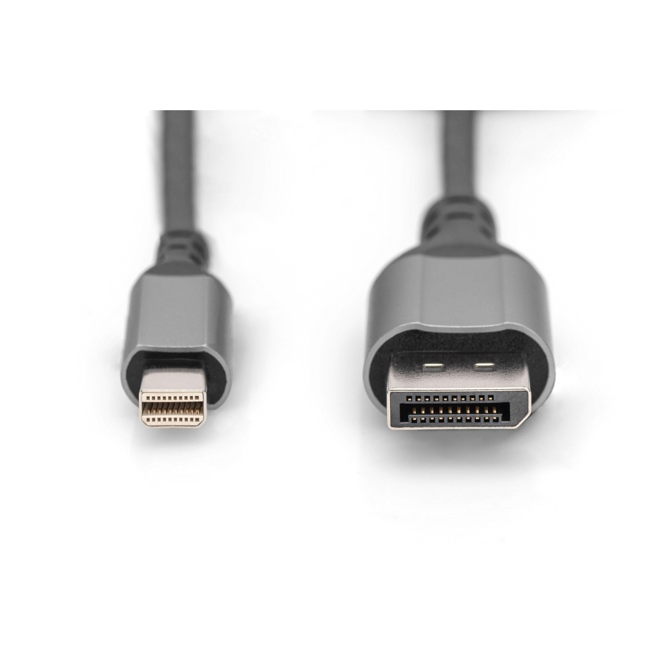 DIGITUS DisplayPort Cable Mini DP to DP 8K 2m - Black — Buy in Cyprus with Fast Delivery