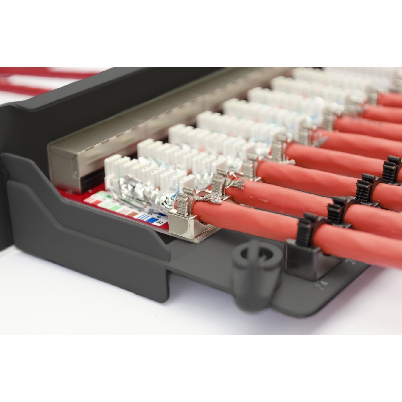 DIGITUS Patchpanel 1HE 24-Port Cat6a Shielded Black - 1U Rack-Mount RJ-45 Patch Panel — Buy in Cyprus with Fast Delivery