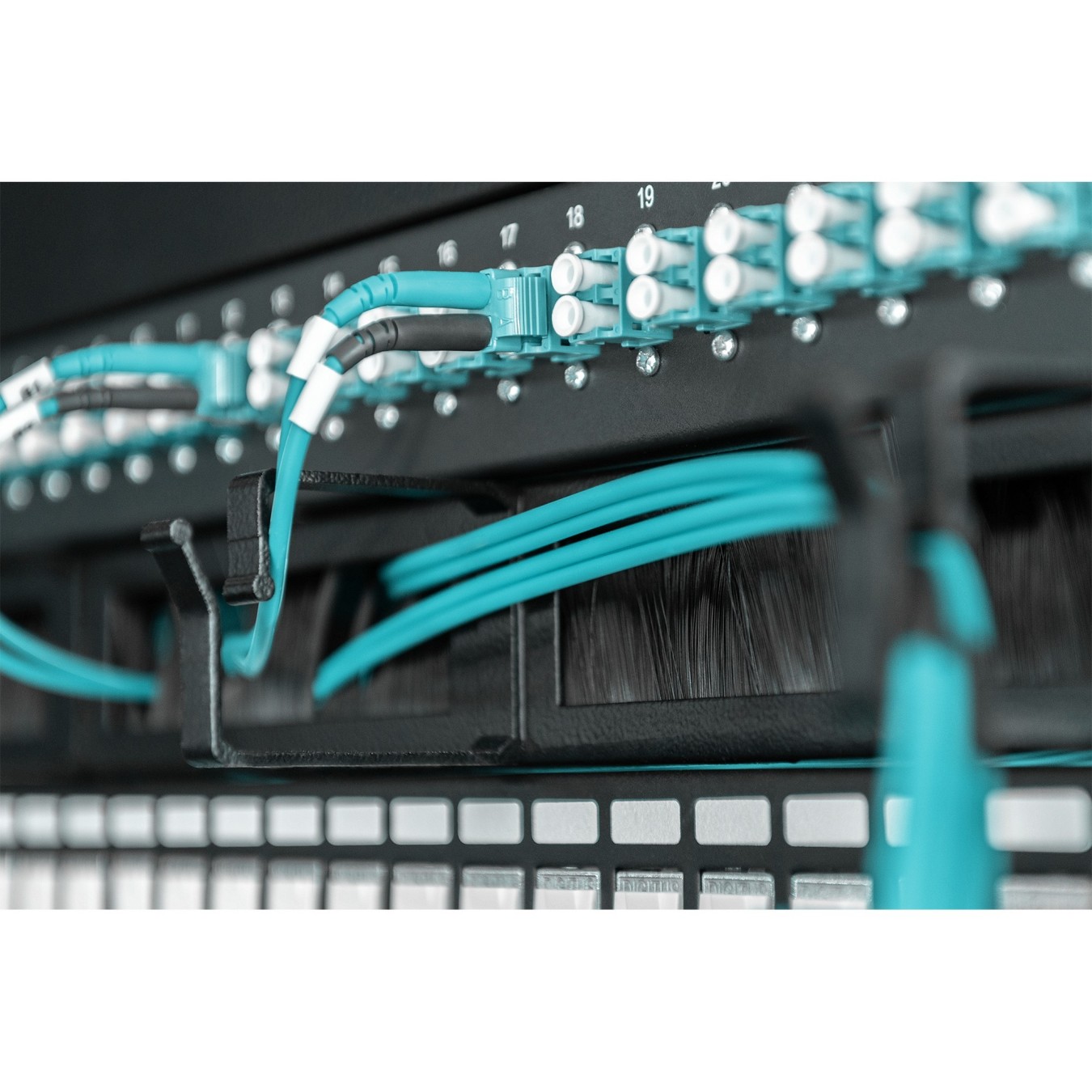 DIGITUS Cable Management Panel 1U 19 inch with Brush Entries - Black, Steel — Buy in Cyprus with Fast Delivery