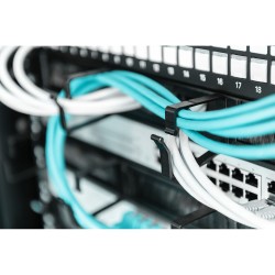 Buy DIGITUS Cable Management Panel 1U 19 inch with Brush Entries - Black, Steel in Cyprus, Nicosia, Limassol, Larnaka, Pafos