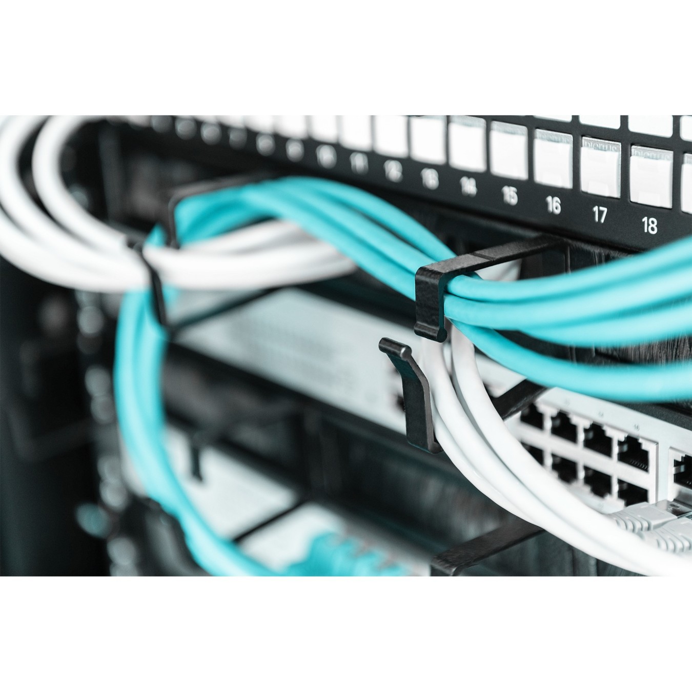DIGITUS Cable Management Panel 1U 19 inch with Brush Entries - Black, Steel — Buy in Cyprus with Fast Delivery