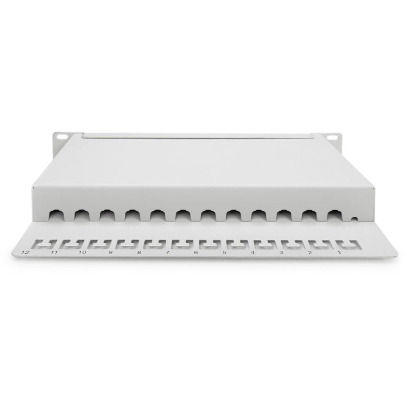 DIGITUS Cat.6A Shielded Patch Panel, 12-Port, 10 ft, Gray — Buy in Cyprus with Fast Delivery