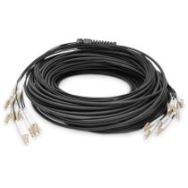 DIGITUS Fiber Patch Cable LC to UPC 30 m OM4 12-Fiber - Black — Buy in Cyprus with Fast Delivery