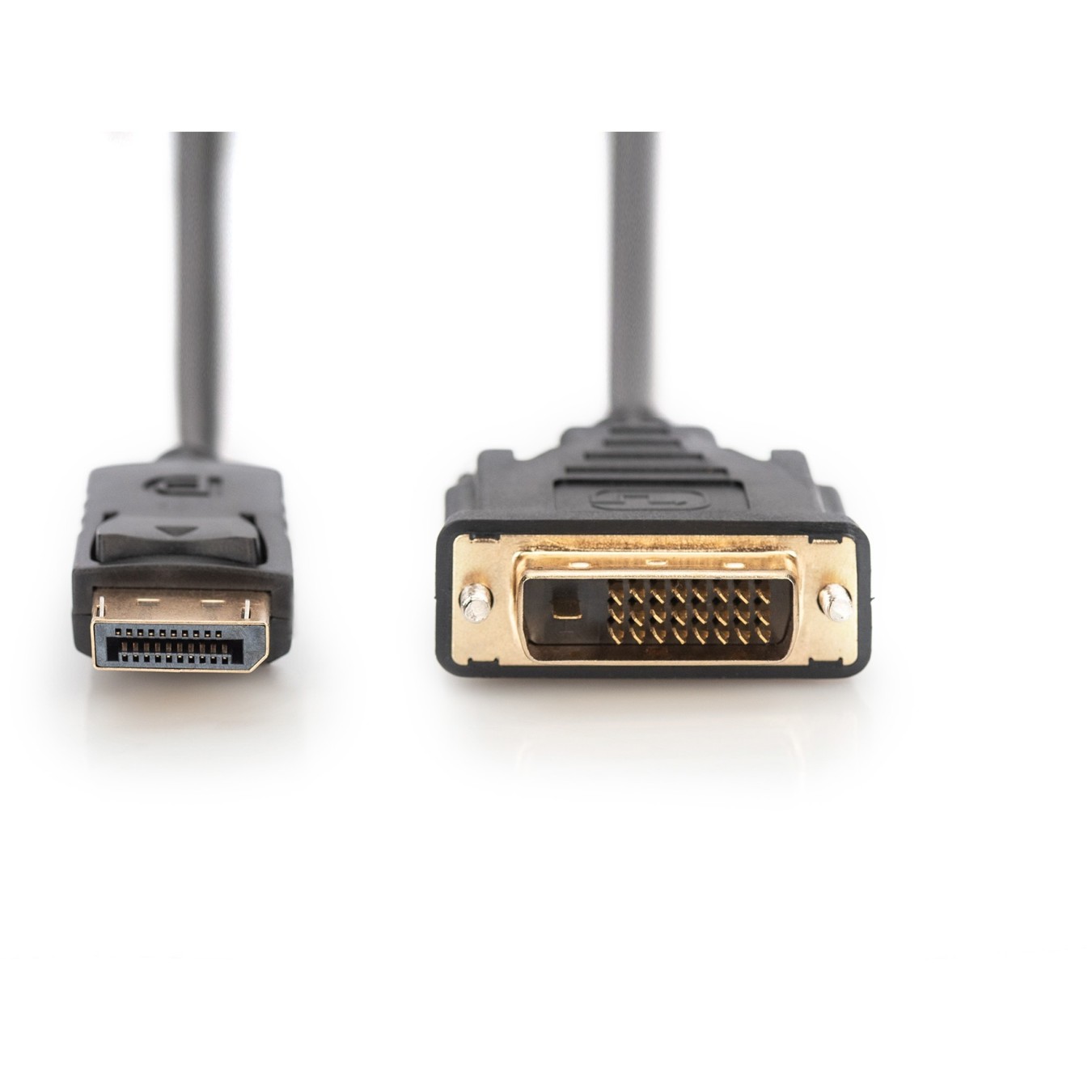 Digitus DisplayPort to DVI 24+1 (ST-ST) Adapter Cable - Black, 2 m — Buy in Cyprus with Fast Delivery