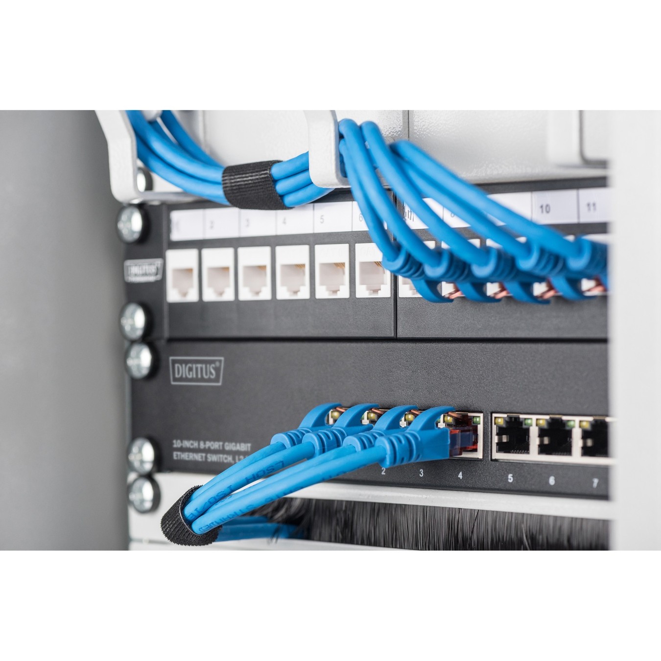 DIGITUS 8-Port Gigabit Managed Switch - Black - (8x Gigabit, L2+, Rack/Wall Mountable) — Buy in Cyprus with Fast Delivery