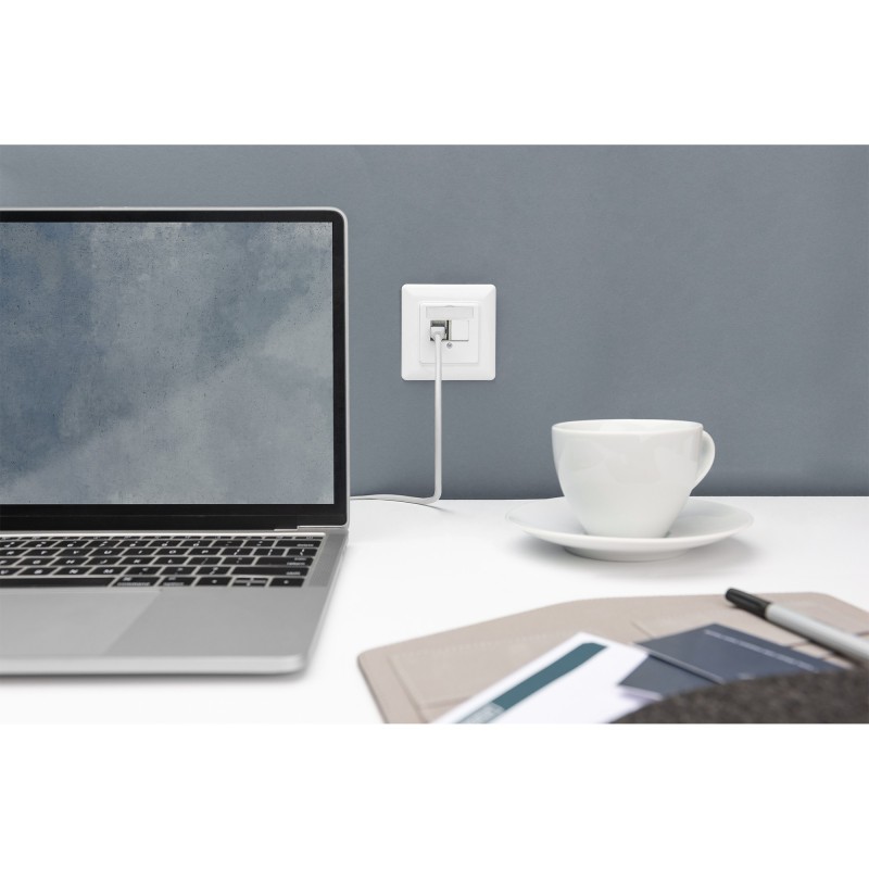 Buy DIGITUS Empty Junction Box with Central Plate and Frame - 2 Keystone - Box in Cyprus, Nicosia, Limassol, Larnaka, Pafos