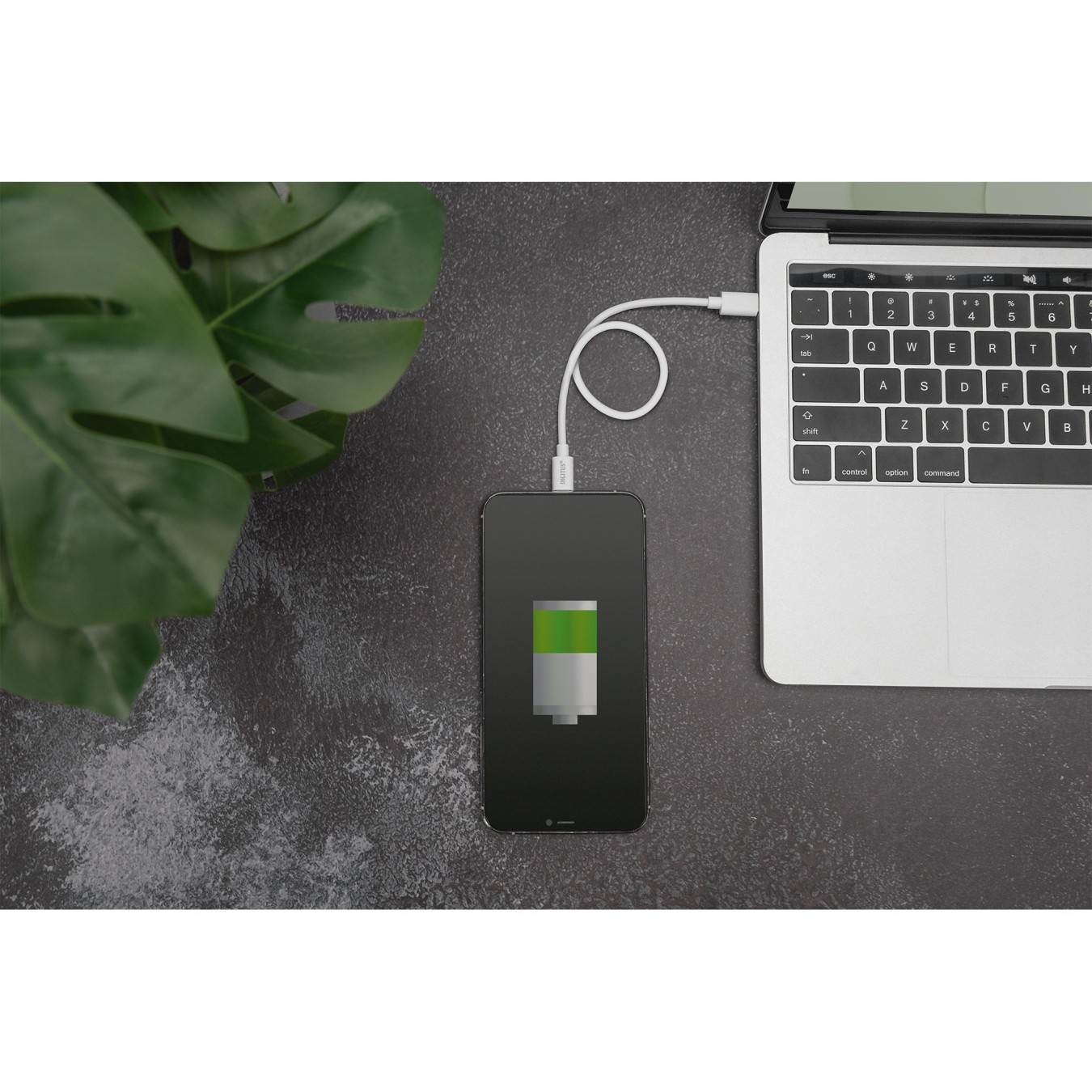 Digitus USB-C to Lightning Cable - MFi - 1m - White — Buy in Cyprus with Fast Delivery