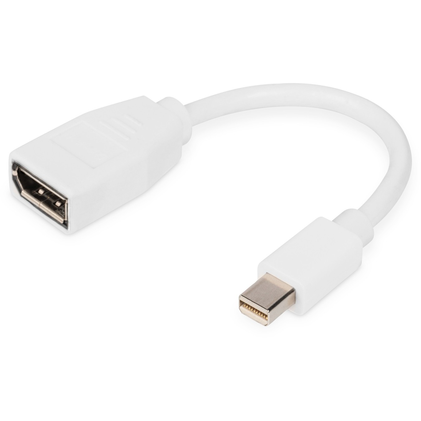 DIGITUS DisplayPort Cable - Mini DisplayPort to DisplayPort, 0.15 m, White — Buy in Cyprus with Fast Delivery