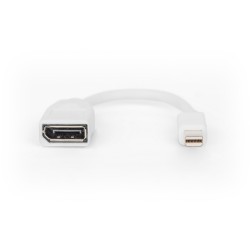 Buy DIGITUS DisplayPort Cable - Mini DisplayPort to DisplayPort, 0.15 m, White in Cyprus, Nicosia, Limassol, Larnaka, Pafos
