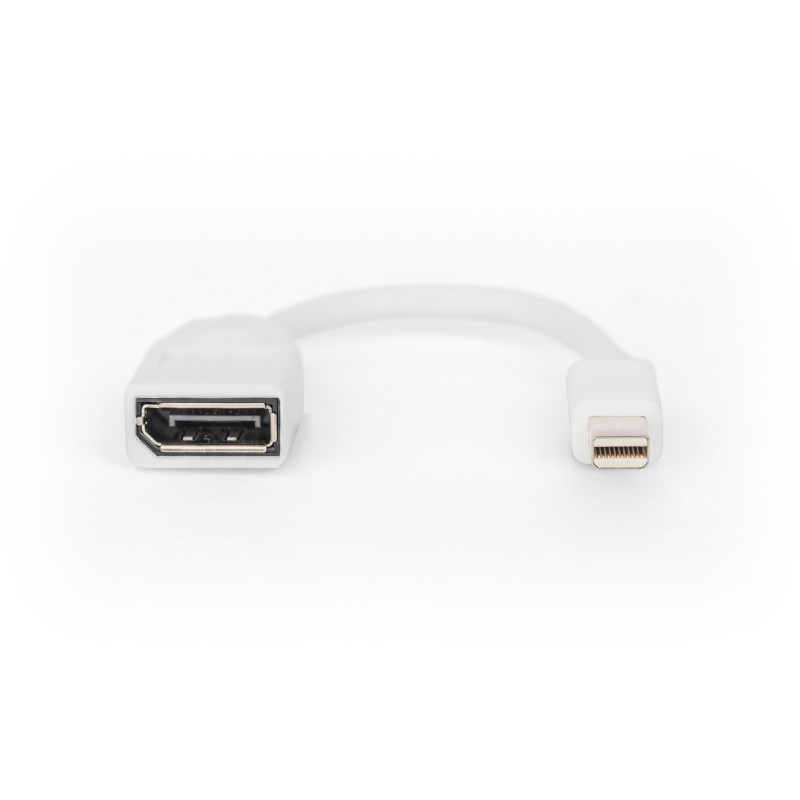 Buy DIGITUS DisplayPort Cable - Mini DisplayPort to DisplayPort, 0.15 m, White in Cyprus, Nicosia, Limassol, Larnaka, Pafos