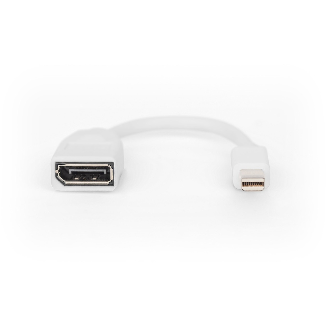 DIGITUS DisplayPort Cable - Mini DisplayPort to DisplayPort, 0.15 m, White — Buy in Cyprus with Fast Delivery