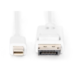 Buy DIGITUS DisplayPort Cable miniDP to DisplayPort - 2m White 1.1a in Cyprus, Nicosia, Limassol, Larnaka, Pafos