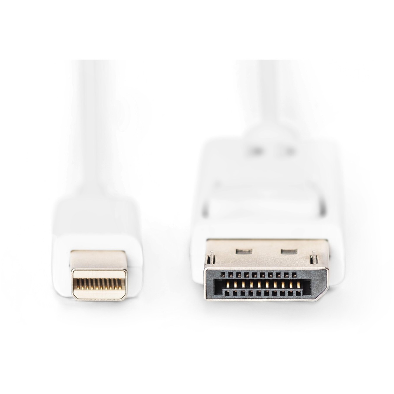 DIGITUS DisplayPort Cable miniDP to DisplayPort - 2m White 1.1a — Buy in Cyprus with Fast Delivery