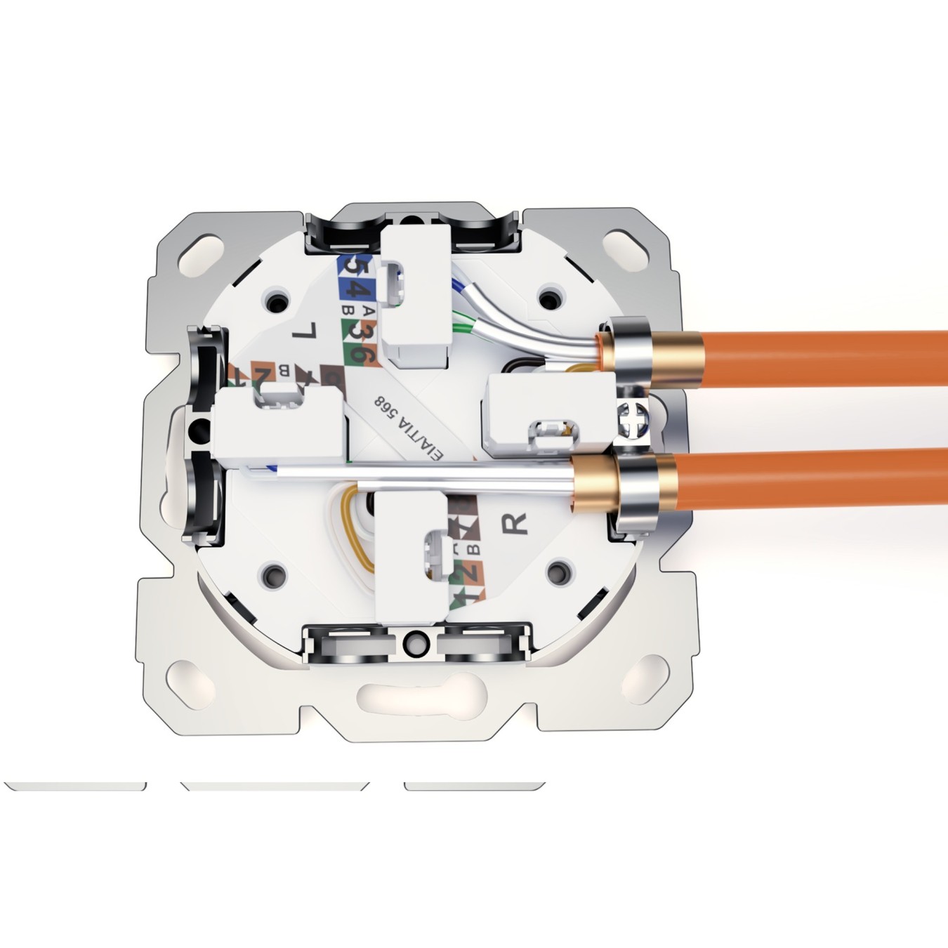 DIGITUS Cat 6A Shielded Network Outlet 2x RJ45 - White — Buy in Cyprus with Fast Delivery