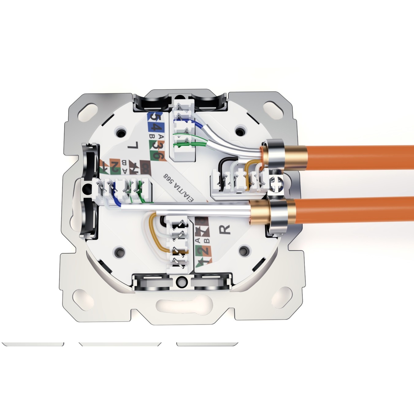DIGITUS Cat 6A Shielded Network Outlet 2x RJ45 - White — Buy in Cyprus with Fast Delivery