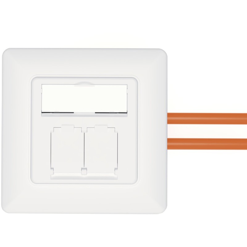Buy DIGITUS Cat 6A Shielded Network Outlet 2x RJ45 - White in Cyprus, Nicosia, Limassol, Larnaka, Pafos